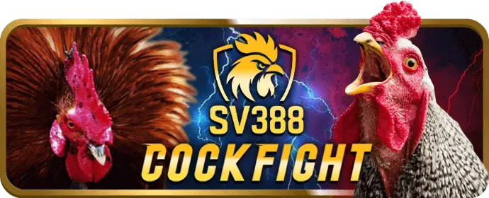 Chiến lược cá cược thể thao tại 23win01 nhà cái